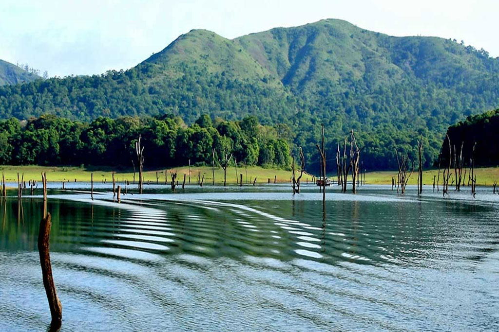 Kerala Honeymoon Tour
